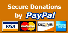 Secure Donations By PayPal